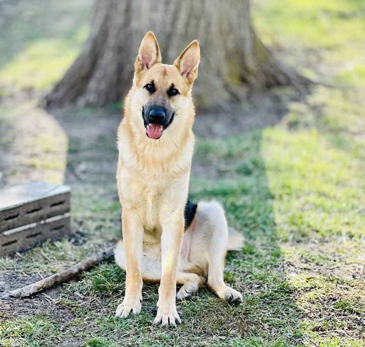 Photo of Luckii