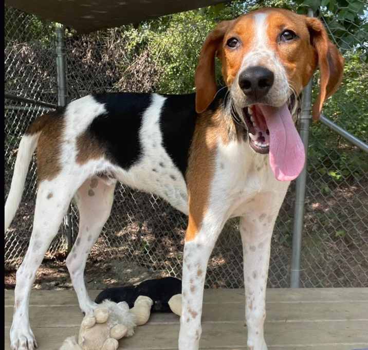 Photo of Remi