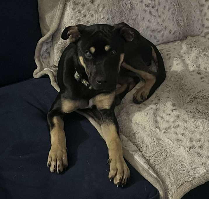 Photo of Kira