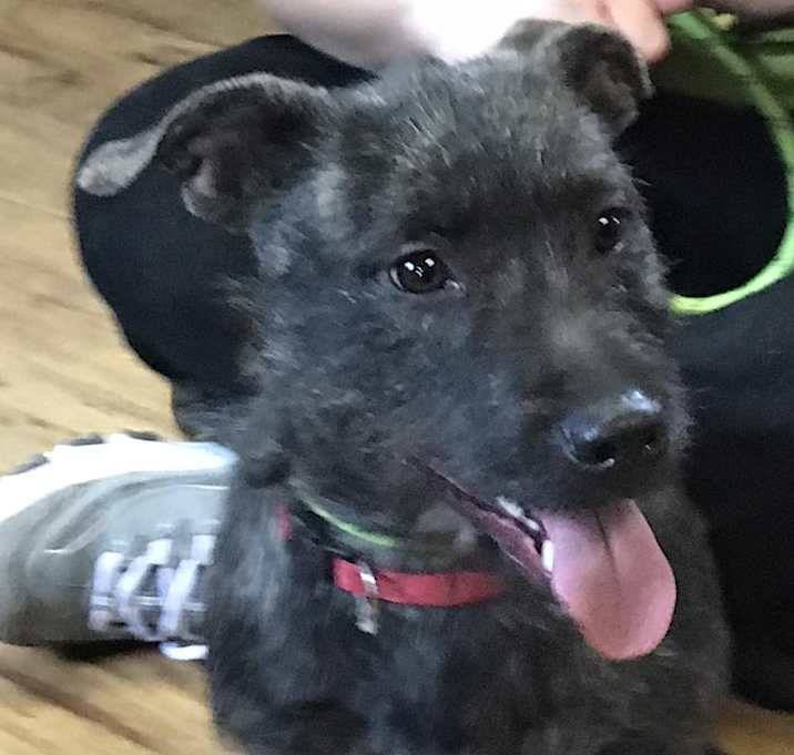 Photo of Rico
