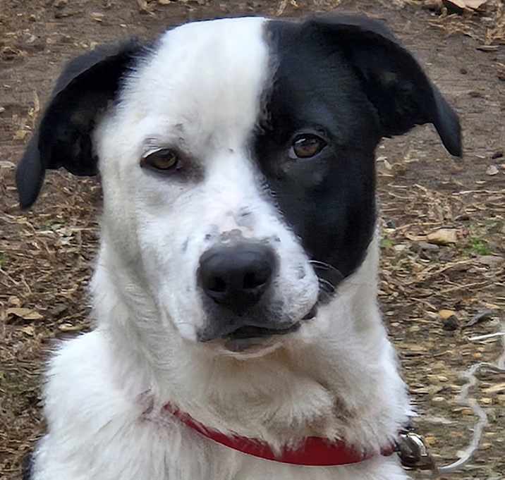 Photo of Mia