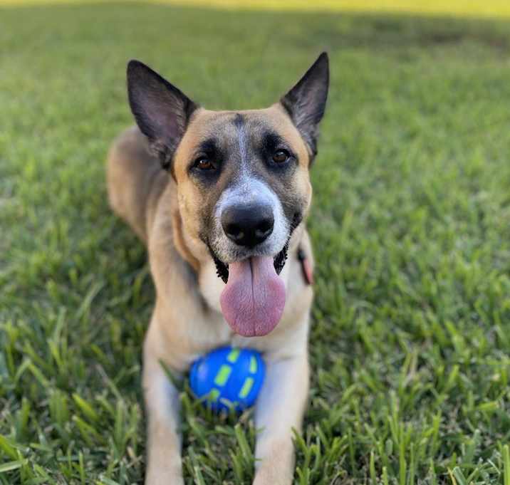Photo of Jack