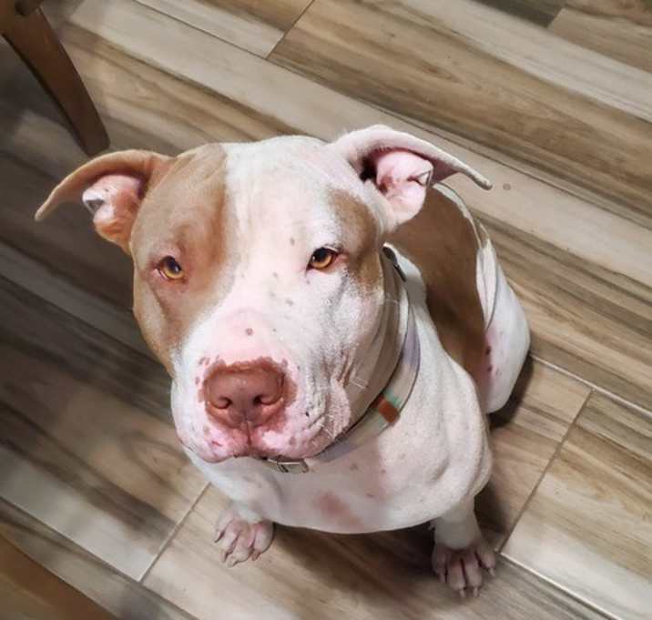 Photo of Penny