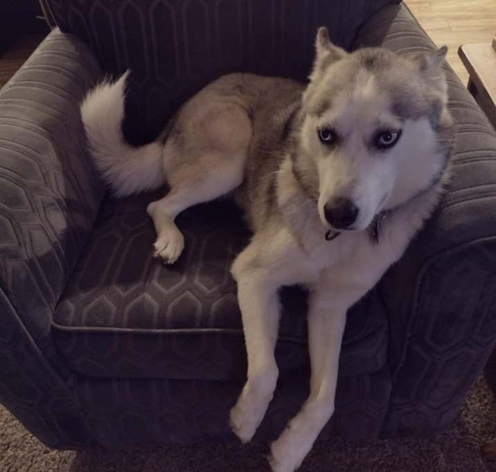 Photo of Lucy