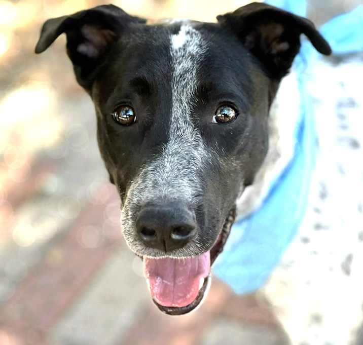 Photo of Patches