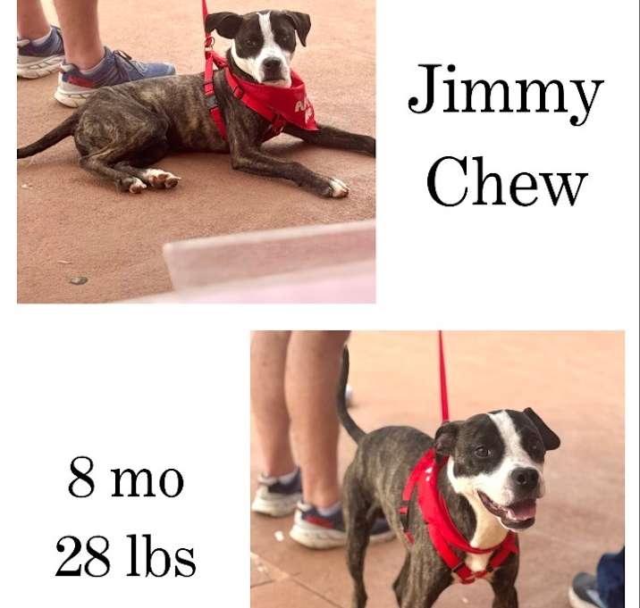 Photo of Jimmy Chew