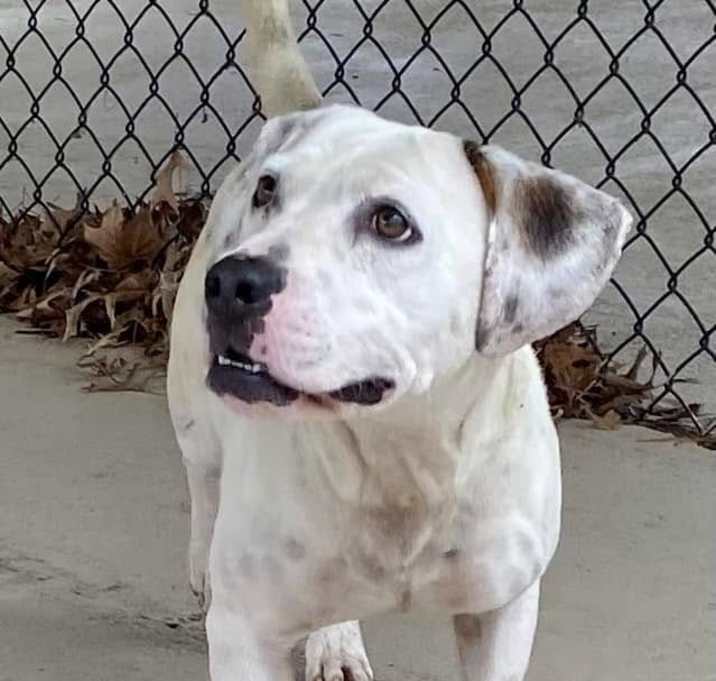 Photo of Petey