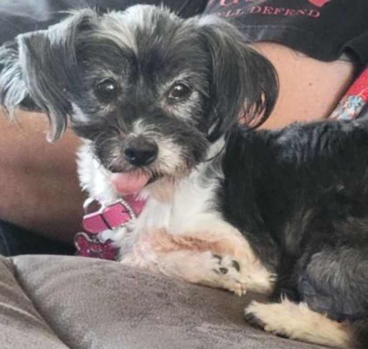 Photo of Lexi