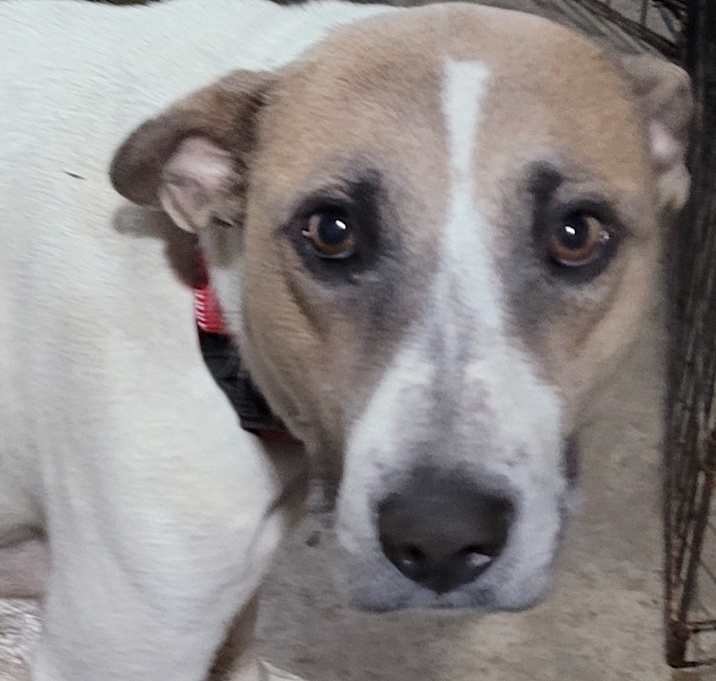 Photo of Mandy