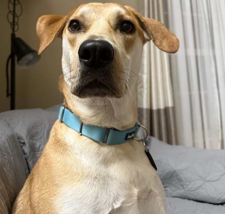 Photo of Theo