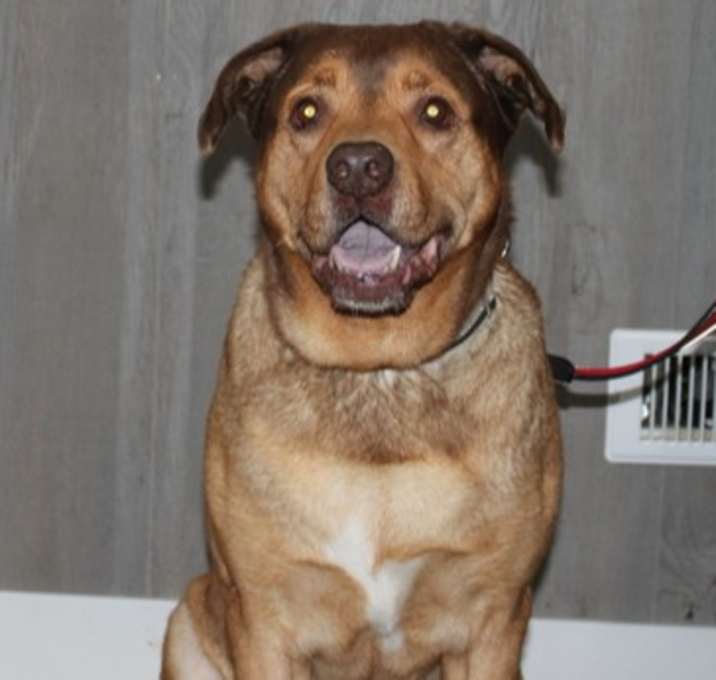 Photo of Duke