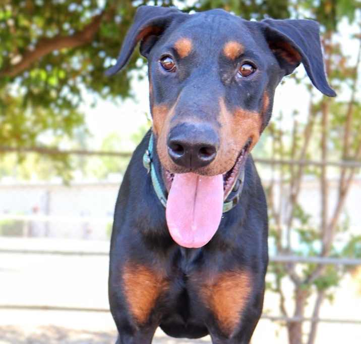 Photo of Jasper