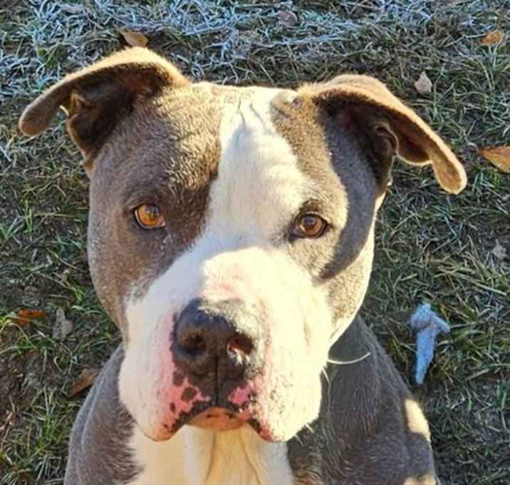 Photo of Milo