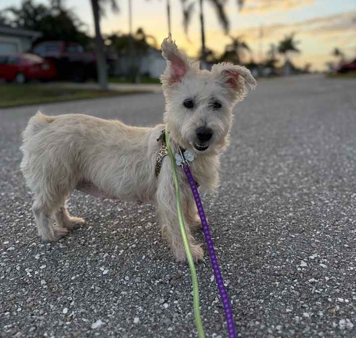 Photo of Maggie