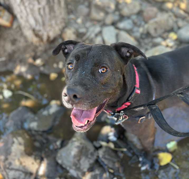 Photo of Jaxx