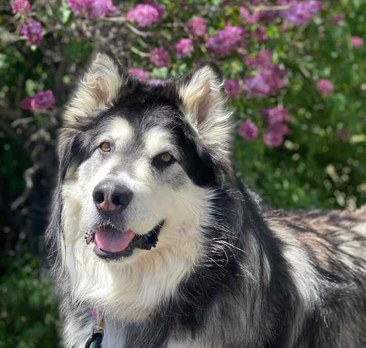 Photo of Kairi