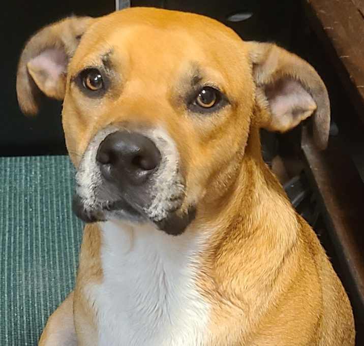 Photo of Maya