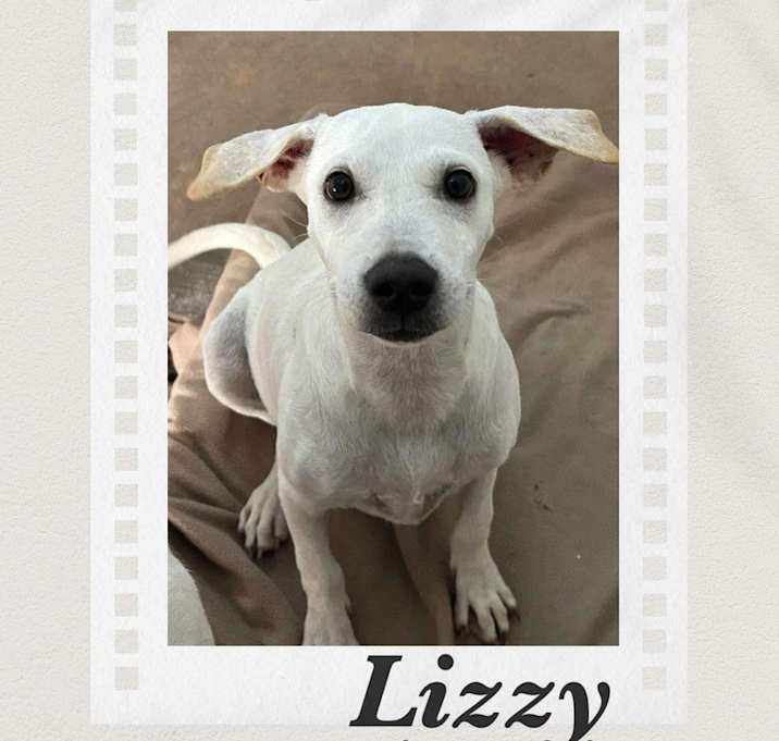 Photo of Lizzy