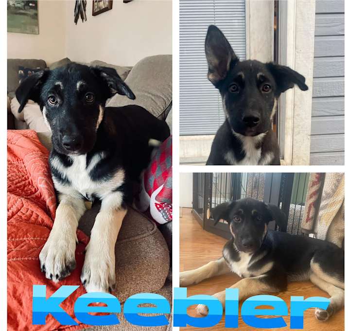 Photo of Keebler