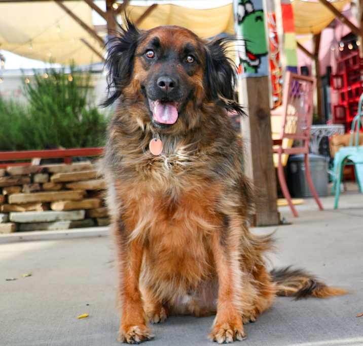 Photo of Paddington