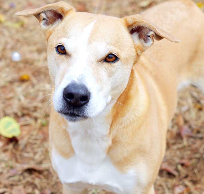 Photo of Buckley