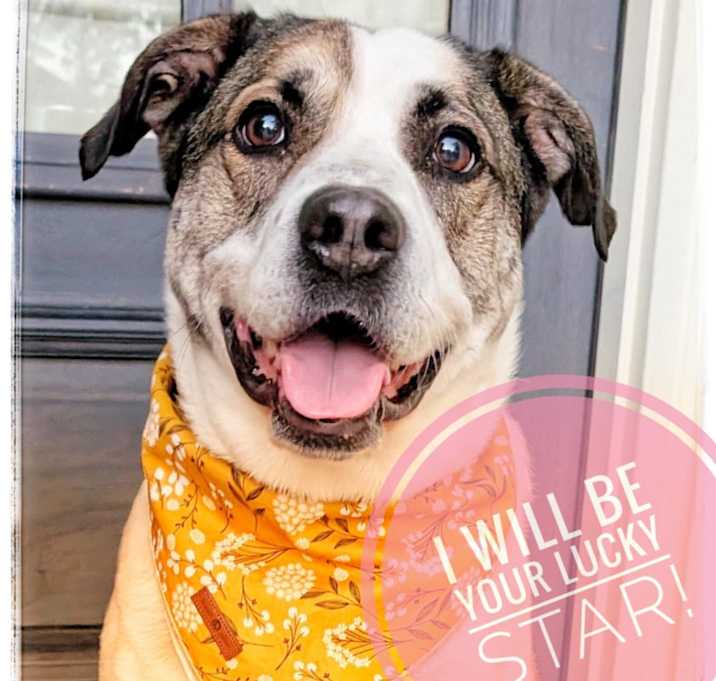 Photo of Star