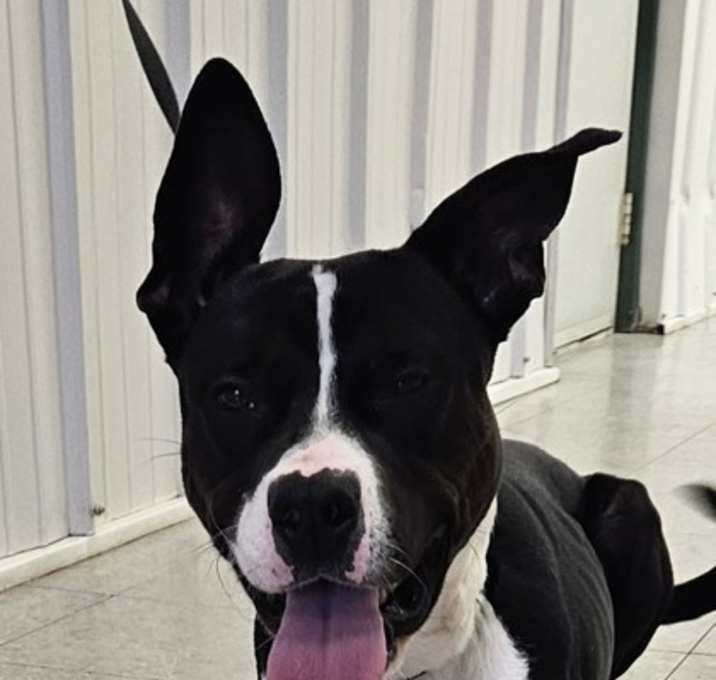 Photo of Leroy
