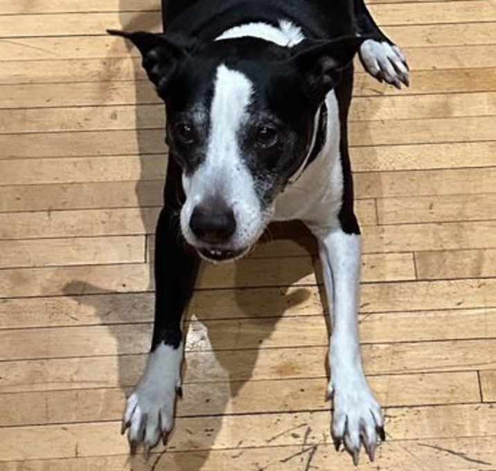 Photo of Munchkin