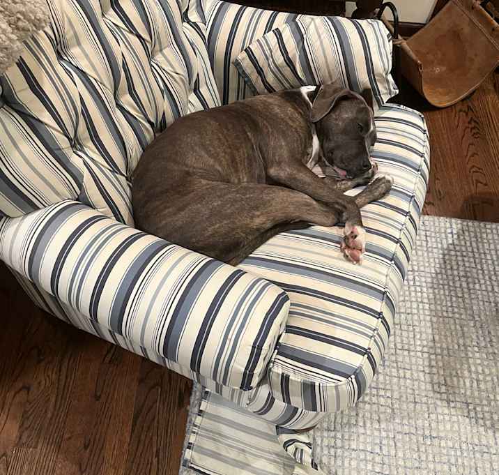 Photo of Maple-Courtesy Listing
