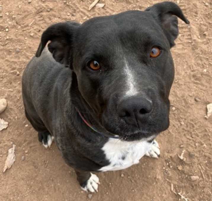 Photo of Mavis
