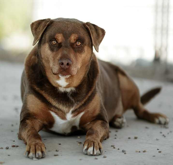 Photo of Mister