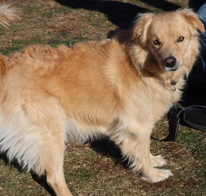 Photo of Hudson