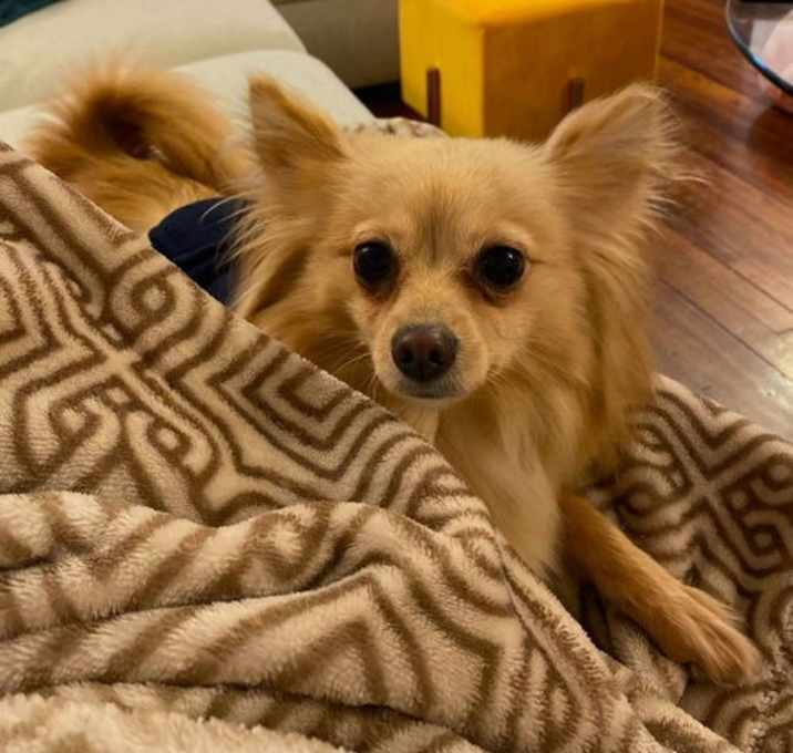 Photo of Lyla