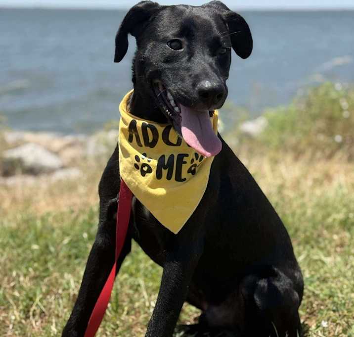Photo of Lenny