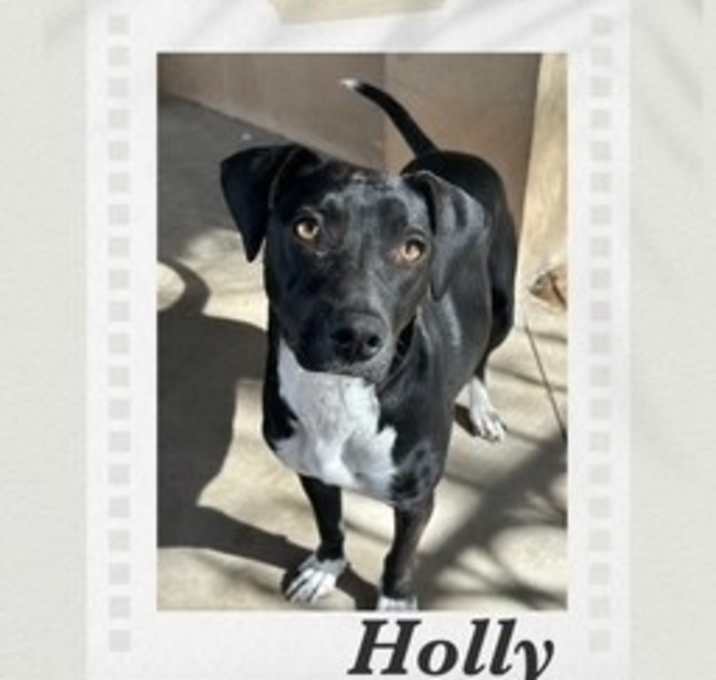 Photo of Holly