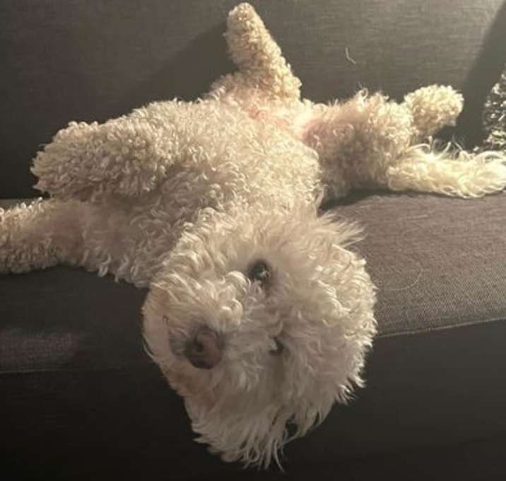 Photo of Billy