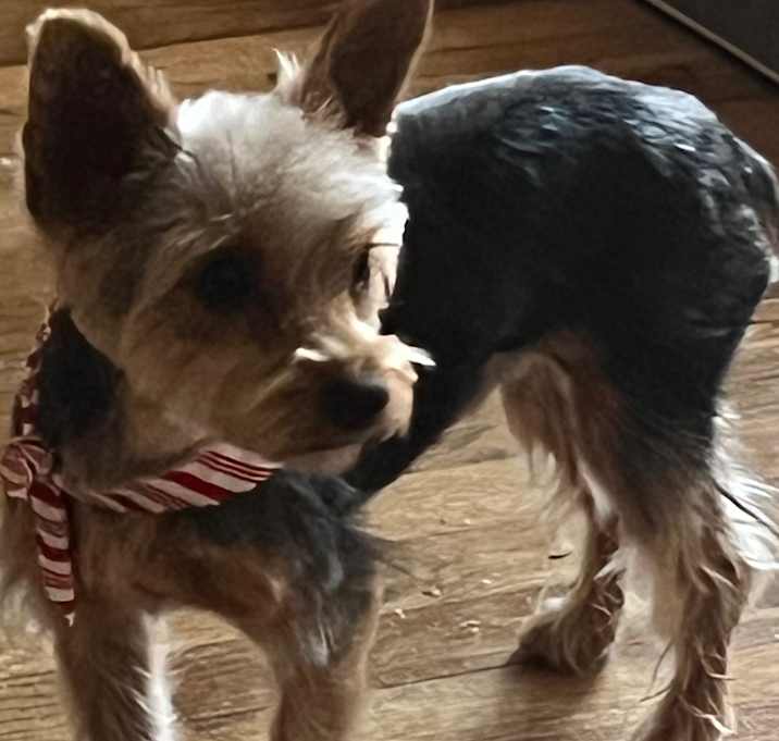 Photo of SKIP