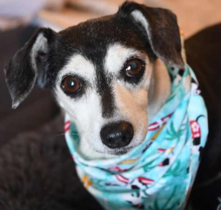 Photo of Lola Mae