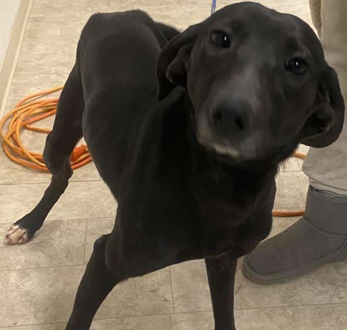Photo of Hazel