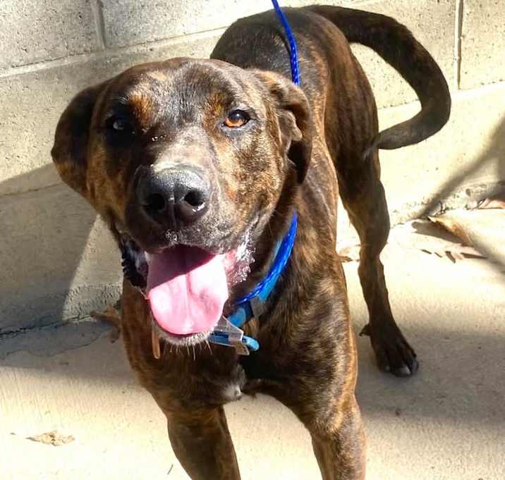 Photo of Tucker
