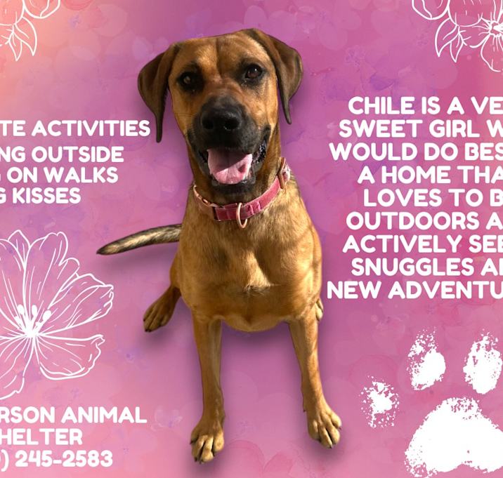 Photo of Chile