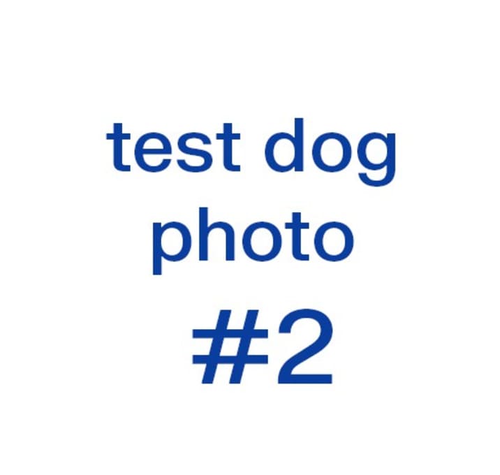 Photo of Photo Testing 123