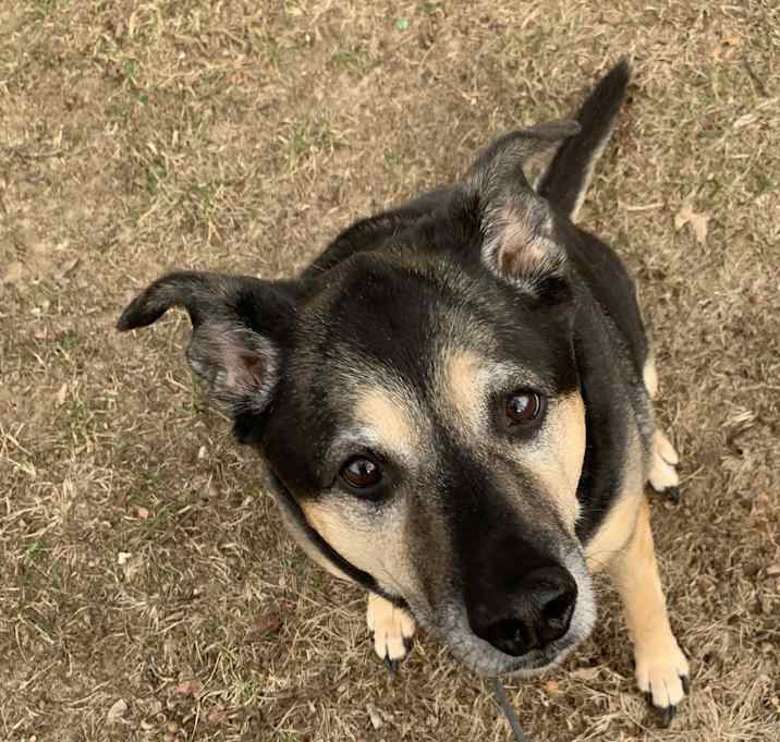 Photo of Molly