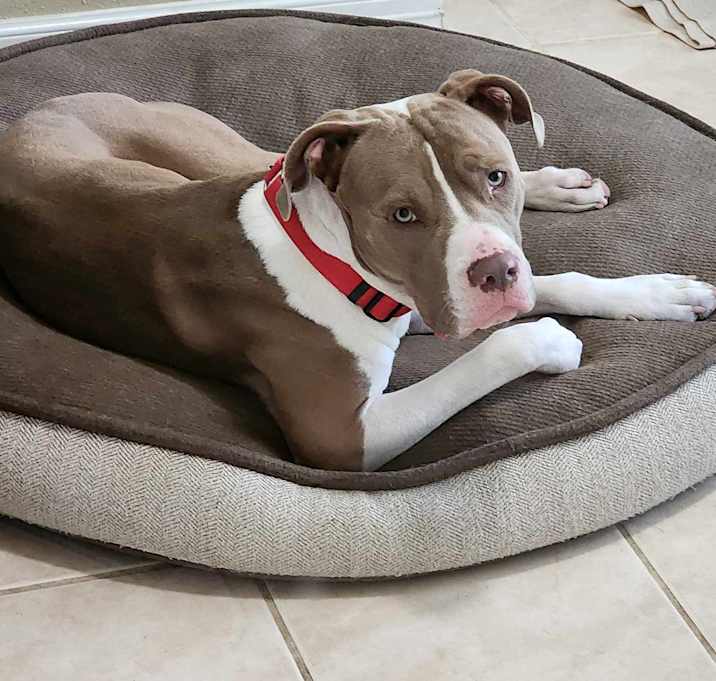 Photo of Gus