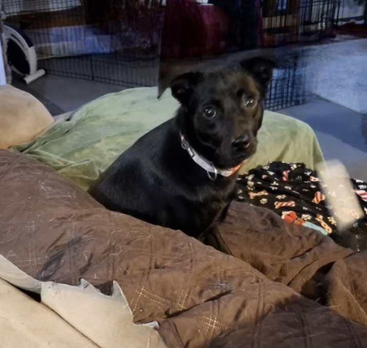 Photo of WIGGLES