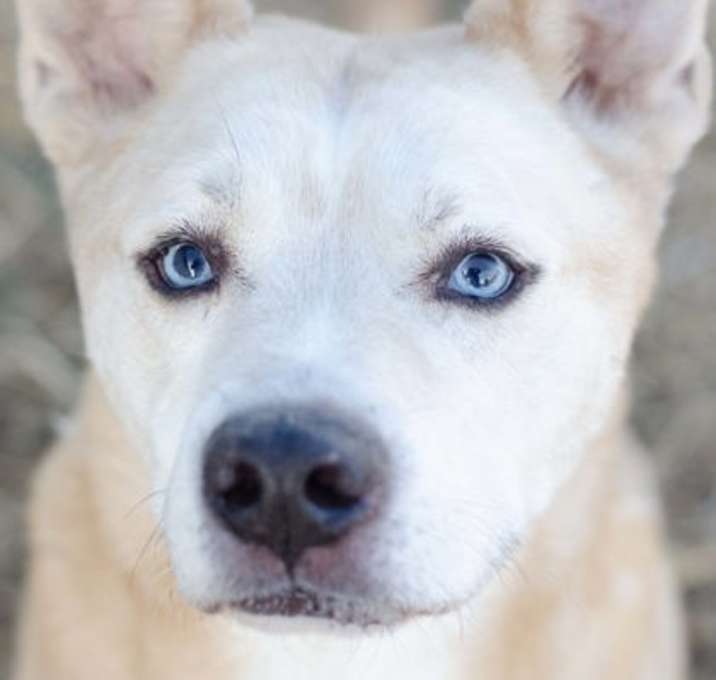 Photo of Blue