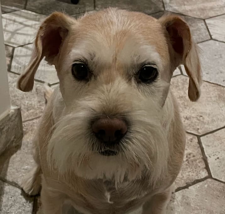 Photo of Sandy