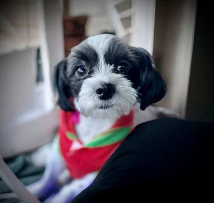 Photo of Seraphina