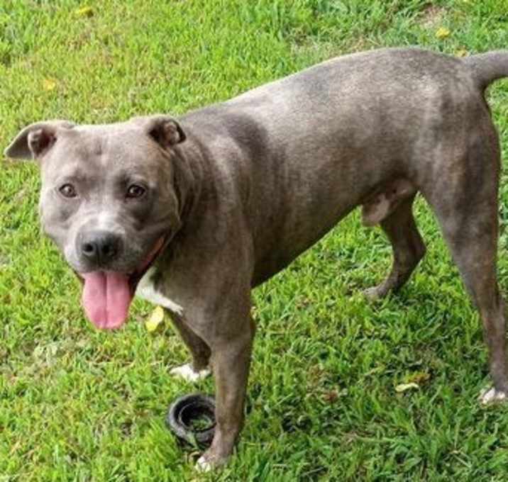 Photo of Remington