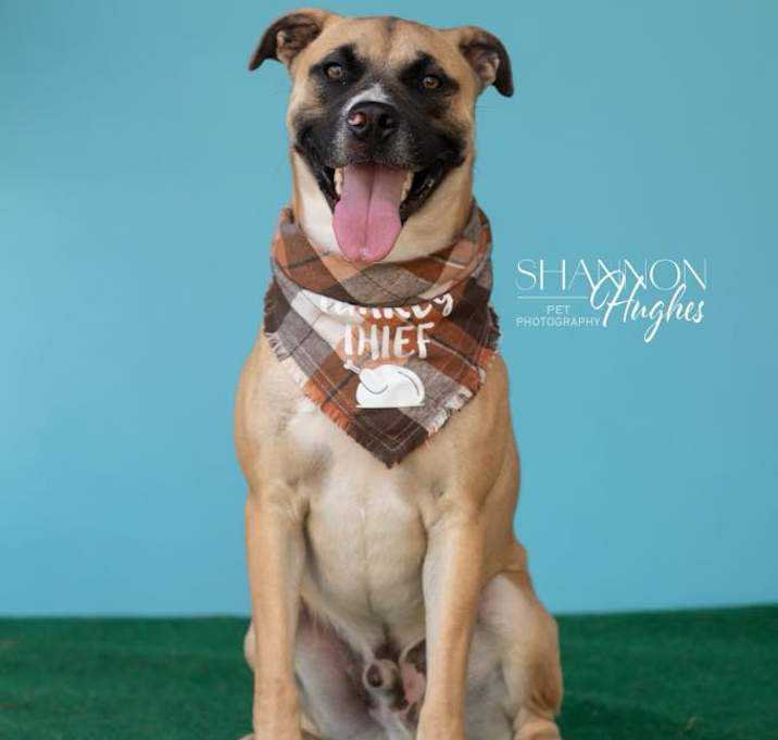 Photo of Oscar